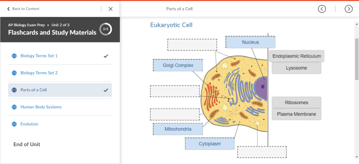 Ap biology unit 1 practice test pdf