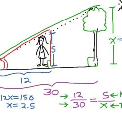 Springboard math course 2 answer key