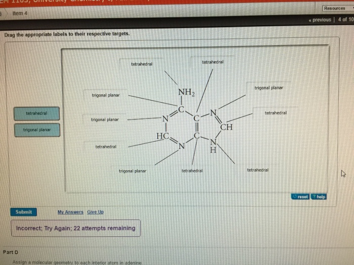 Geometry atom interior assign molecular each thymine targets drag respective appropriate labels their show electron guanine solved answers chemistry transcribed