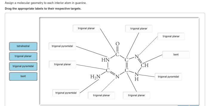 Assign a molecular geometry to each interior atom in cytosine